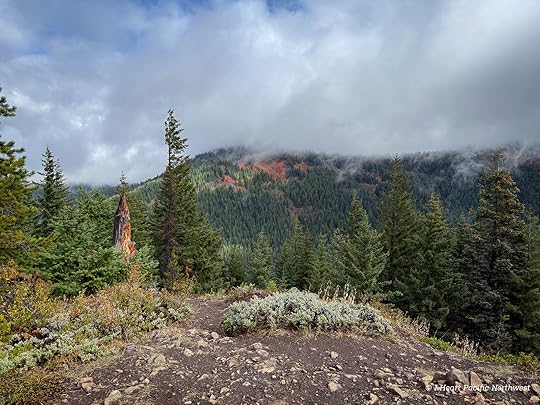 Devils Acre - Palmateer Point loop hike
