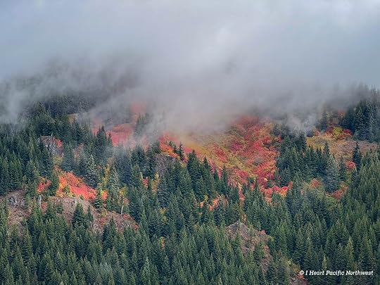Devils Acre - Palmateer Point loop hike