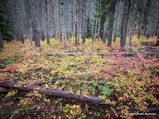 Devils Acre - Palmateer Point loop hike