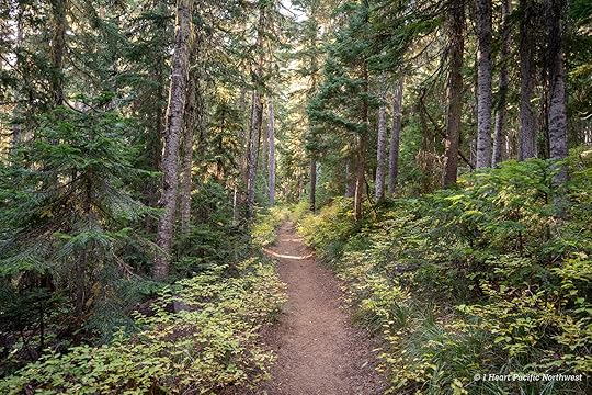 Junction Lake Backpacking Trip - Indian Heaven Wilderness