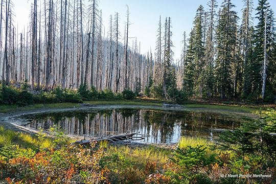 Junction Lake Backpacking Trip - Indian Heaven Wilderness