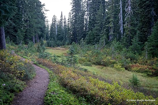 Junction Lake Backpacking Trip - Indian Heaven Wilderness