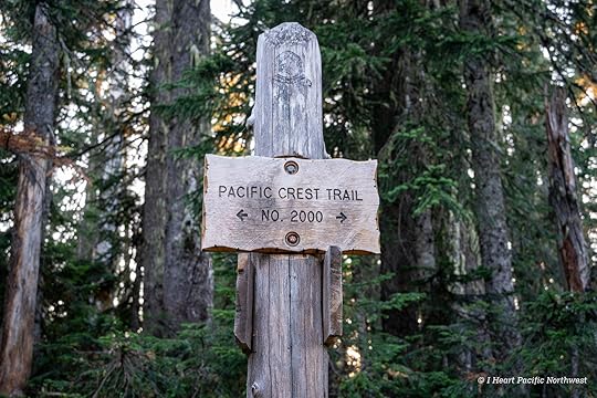Junction Lake Backpacking Trip - Indian Heaven Wilderness
