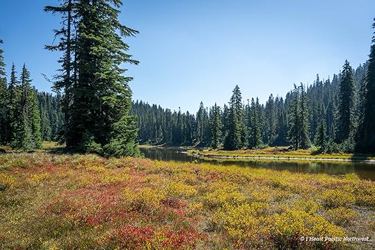 Junction Lake Backpacking Trip - Indian Heaven Wilderness