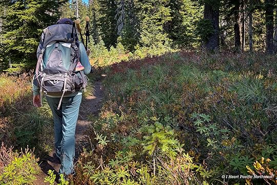 Junction Lake Backpacking Trip - Indian Heaven Wilderness