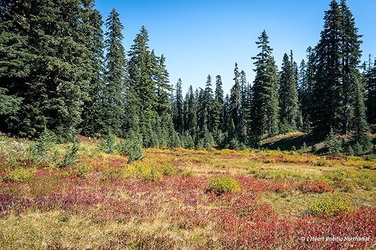 Junction Lake Backpacking Trip - Indian Heaven Wilderness