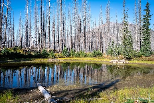 Junction Lake Backpacking Trip - Indian Heaven Wilderness