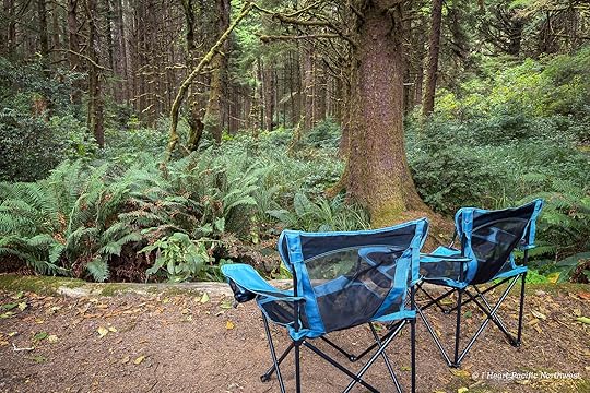Camping on the Central Oregon Coast at Carl Washburne campground