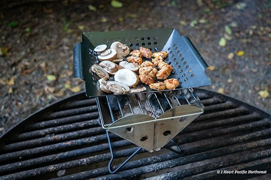 Camping on the Central Oregon Coast at Carl Washburne campground