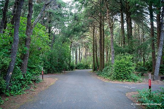 Camping on the Central Oregon Coast at Carl Washburne campground