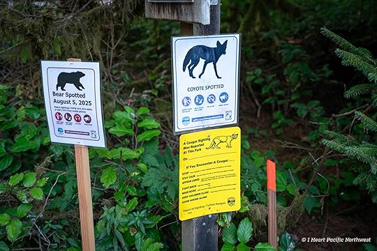 Camping on the Central Oregon Coast at Carl Washburne campground