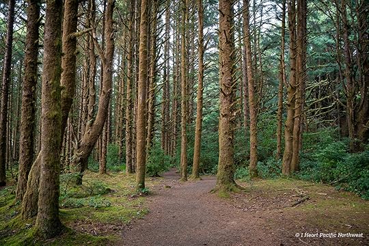 Camping on the Central Oregon Coast at Carl Washburne campground