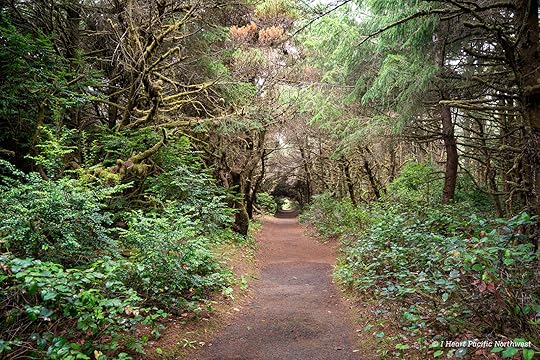 Camping on the Central Oregon Coast at Carl Washburne campground