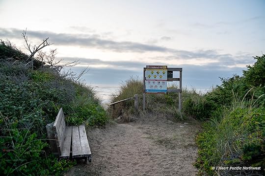 Camping on the Central Oregon Coast at Carl Washburne campground