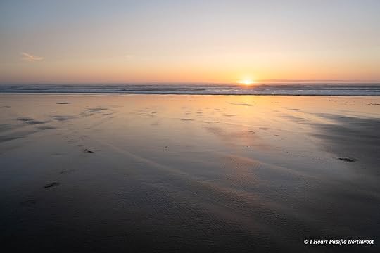 Camping on the Central Oregon Coast at Carl Washburne campground