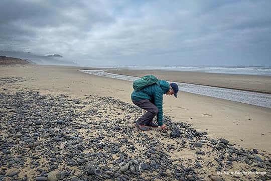 Camping on the Central Oregon Coast at Carl Washburne campground