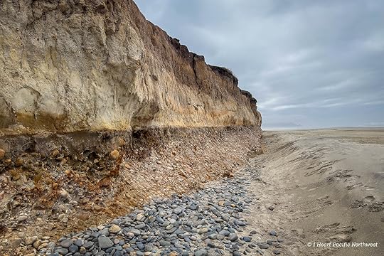 Camping on the Central Oregon Coast at Carl Washburne campground
