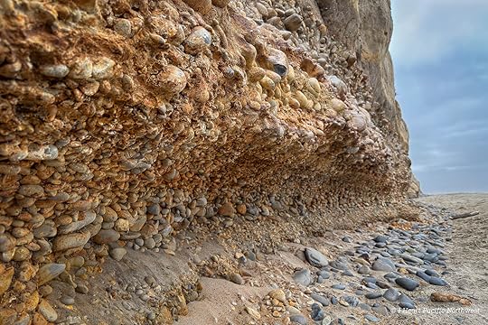 Camping on the Central Oregon Coast at Carl Washburne campground