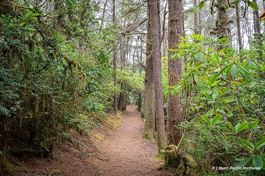 Camping on the Central Oregon Coast at Carl Washburne campground