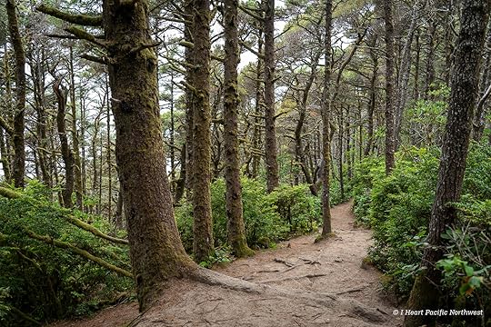Camping on the Central Oregon Coast at Carl Washburne campground