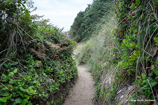 Camping on the Central Oregon Coast at Carl Washburne campground
