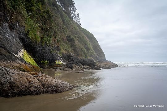 Camping on the Central Oregon Coast at Carl Washburne campground