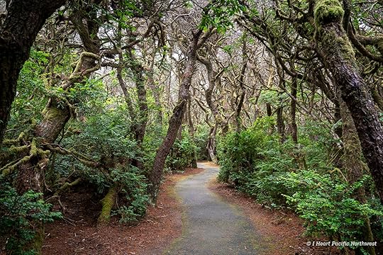 Camping on the Central Oregon Coast at Carl Washburne campground