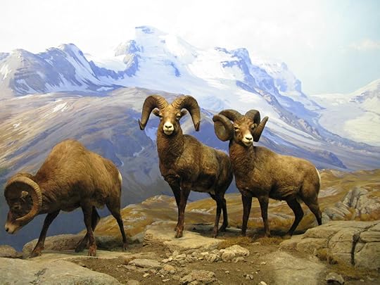 American Museum of Natural History