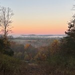 Mountain Mist in the Laurel Highlands