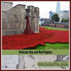 Veterans day, World War I, armed forces, Woodrow Wilson, Remembrance Day, poppies, French and Indian War, Korean War, Duval
