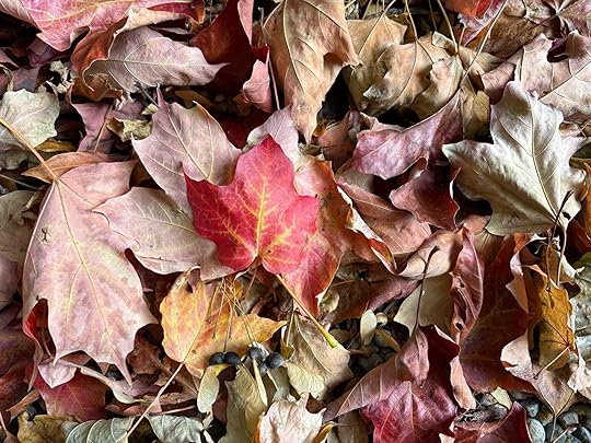 Letter of News: Proof of Leaf