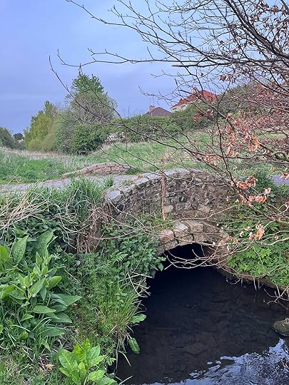 The River Has Roots in Canada: Ottawa, Montreal, Toronto