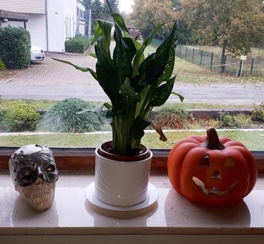 Halloween window 2023