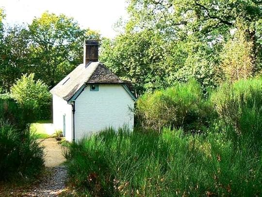 Clouds Hill cottage in Dorset, home of T.E. Lawrence (Lawrence of Arabia)