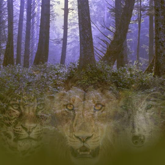 November's the month of the dead