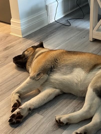 Guard dog hard at work