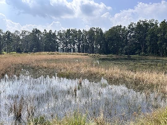 susanjagannath-kanha-45