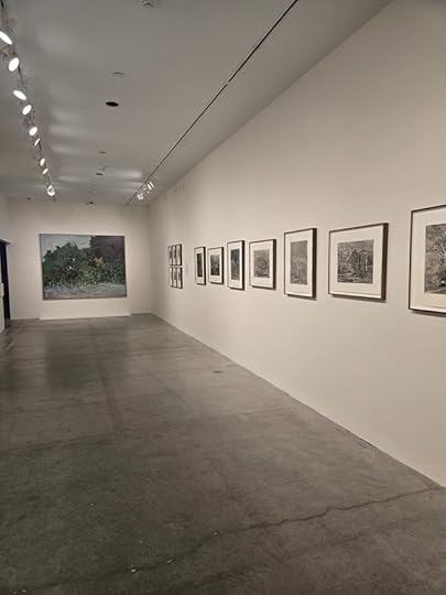 Emmanuel Osahor: To Dream of Other Places - a hallway of paintings in a gallery