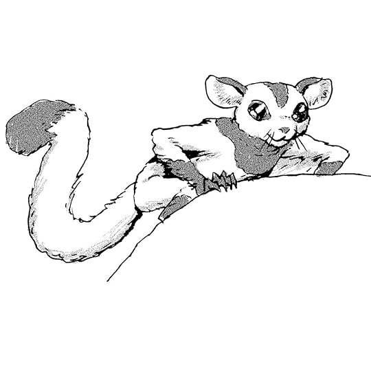 jingle tail squirrel.jpg