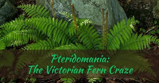 Pteridomania The Victorian Fern Craze