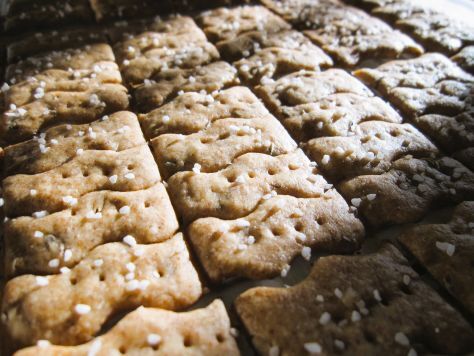 Bready or Not: Rye Sourdough Discard Crackers