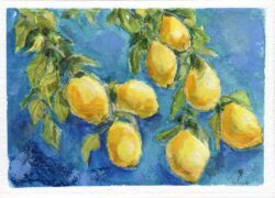 An original watercolour painting of lemons on a branch by British artist Jules Smith