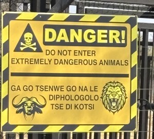 Yellow warning side: Extremely dangerous animals!