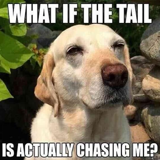 how-to-find-meaning-in-life