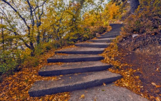 stone steps in fall with leaves