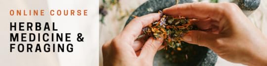 Επαγγελματικη εκπαιδευση στην βοτανολογια, βοτανοθεραπεια και φαρμακευτικα φυτα