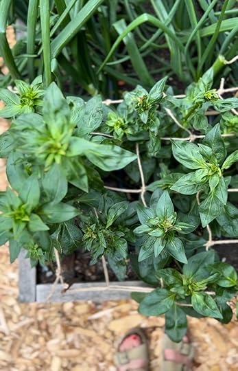 View recent photos 2.jpeg