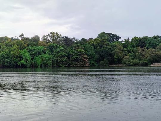 Drizzling on Ashtamudi Lake