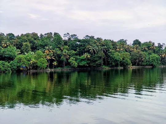 Scenes from the shore of Ashtamudi Lake