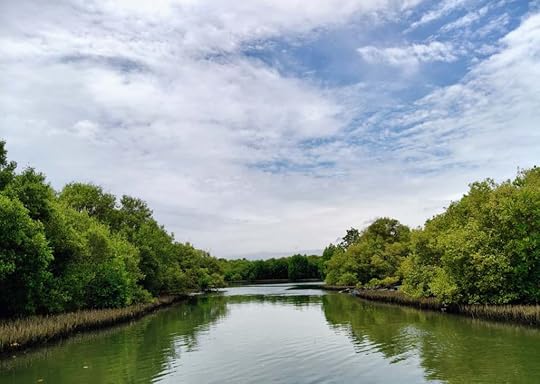 Small uninhabited mangrove islands near Sambranikodi Island.